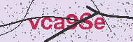 Captcha認証コード